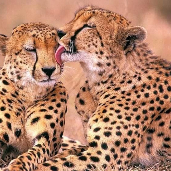 Day trip to Tarangire