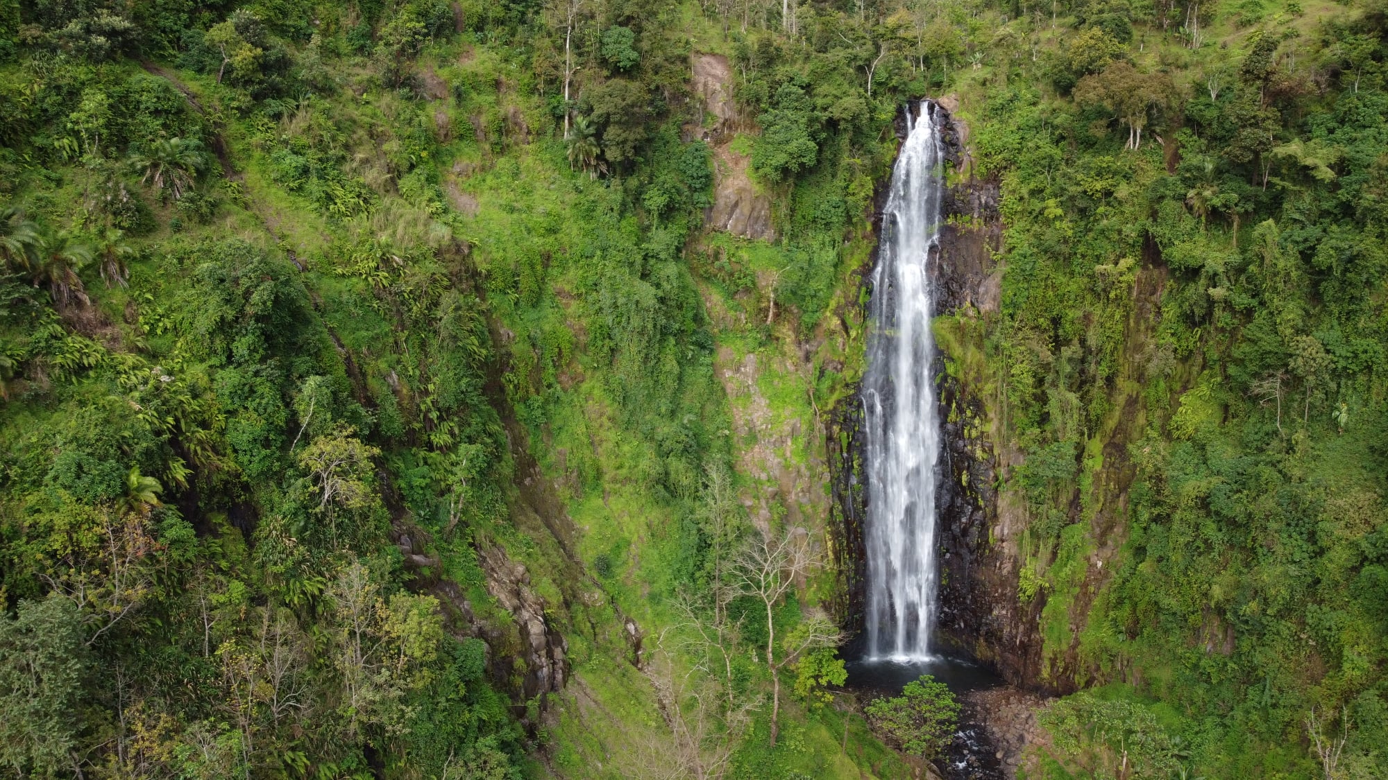 Materuni Village Waterfalls and Coffee