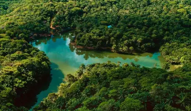 Magoroto Forest Tour