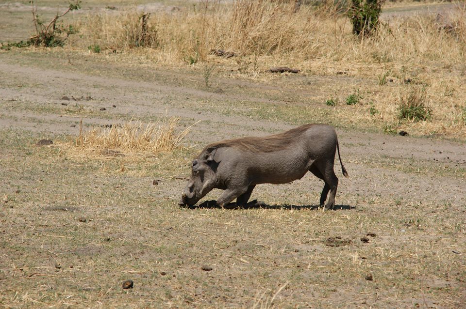 Lake Manyara